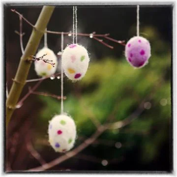 Easter eggs hanging from a branch Stock Photos
