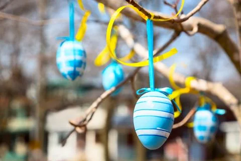 Easter Eggs Hanging on a Tree Stock Photos