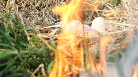 Easter. Eggs in the hay. Celebration Stock Footage 107189521