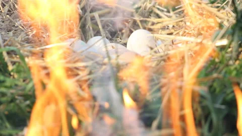 Easter. Eggs in the hay. Celebration Stock Footage 107444246