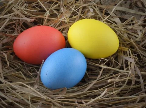 Easter eggs hay Stock Photos