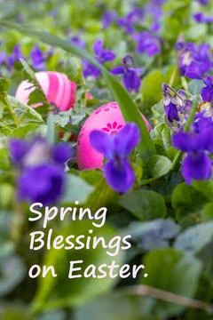 Easter eggs hidden among lush green foliage and bright spring flowers of fo.. Stock Photos