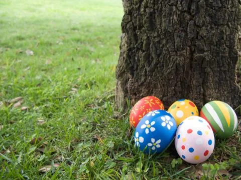 Easter eggs hidden behind a tree trunk Stock Photos