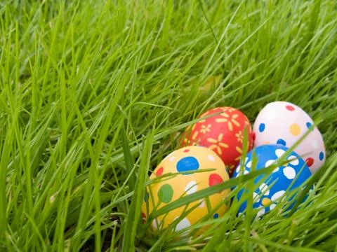 Easter eggs hidden in the grass Stock Photos