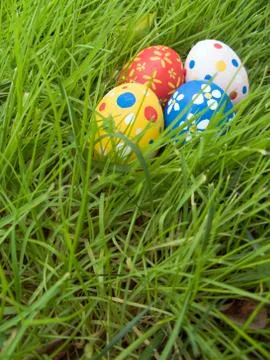 Easter eggs hidden in the grass Stock Photos