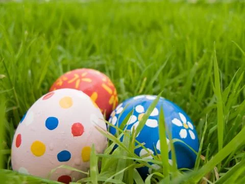 Easter eggs hidden in the grass Stock Photos