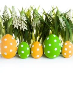 Easter eggs hidden in the grass Stock-Fotos