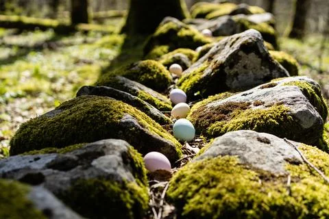 Easter eggs hidden on a mossy stone wall in a sunlit forest Stock Photos