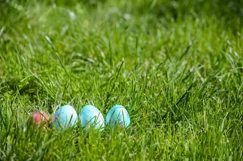 Easter eggs hiding in the grass Foto stock