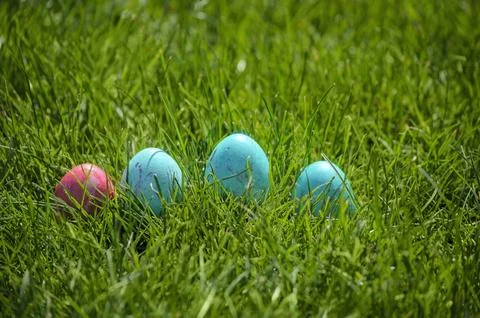 Easter eggs hiding in the grass 스톡 사진