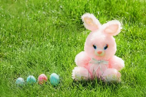 Easter eggs hiding in the grass with rabbit Stock Photos