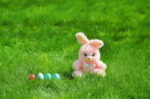 Easter eggs hiding in the grass with rabbit Stock Photos
