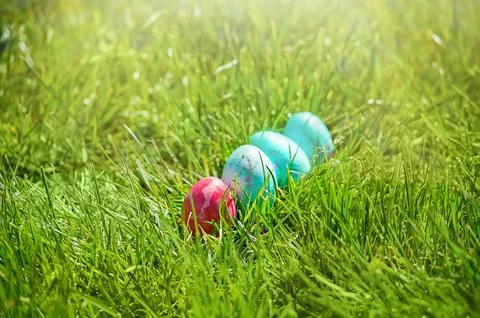 Easter eggs hiding in the grass with rabbit Stock Photos