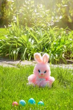 Easter eggs hiding in the grass with rabbit Stock Photos
