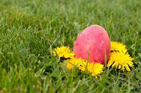 Easter eggs hunt Foto stock