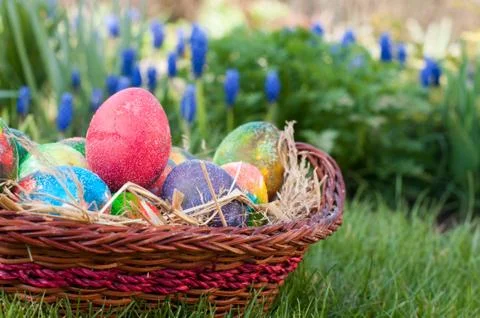 Easter eggs hunt Stock Photos