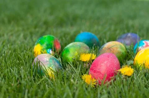 Easter eggs hunt Stock Photos