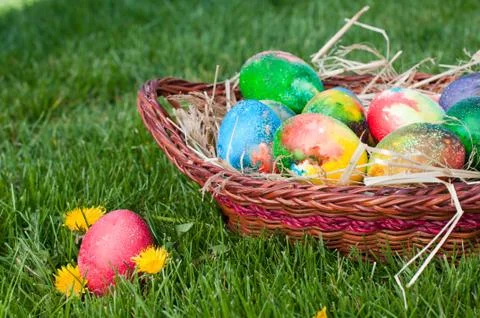 Easter eggs hunt Stock Photos