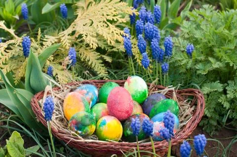 Easter eggs hunt Stock Photos
