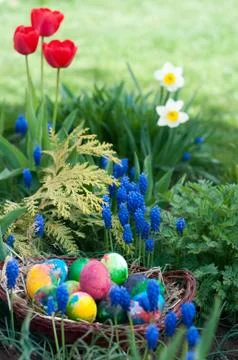 Easter eggs hunt Stock Photos