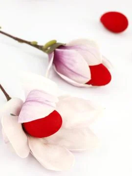 Easter eggs inside of the spring flowers Stock Photos