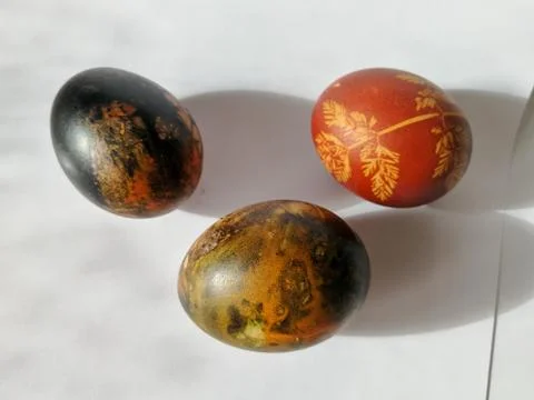 Easter eggs isolated on the bright background Stock Photos