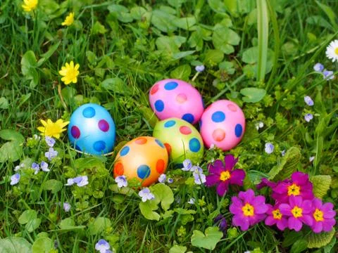 Easter eggs lawn Stock Photos