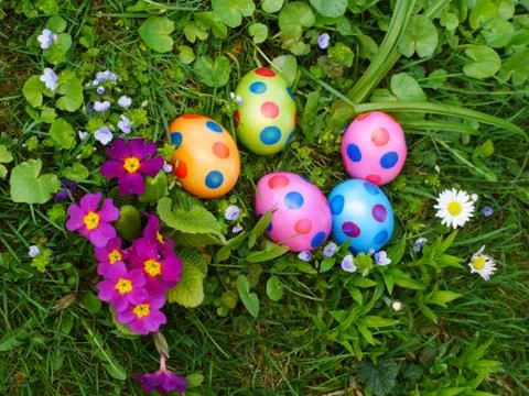 Easter eggs lawn Stock Photos
