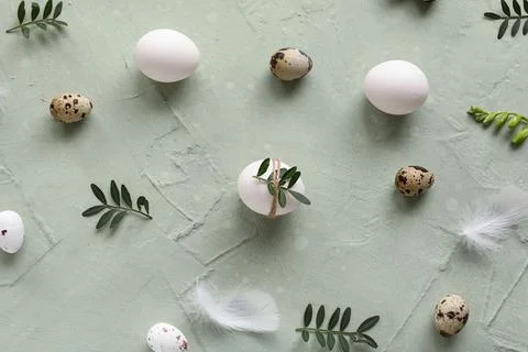 Easter eggs with leaves and feathers on green background Stock Photos