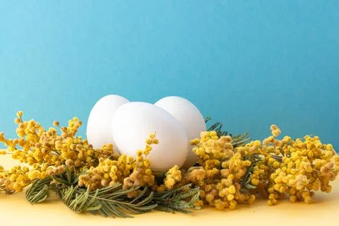 Easter eggs lie on mimosa sprigs. Yellow flowers Stock Photos