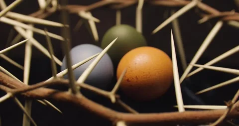 Easter eggs lying in the crown of thorns, the true symbol of Easter celebration. Stock Footage 306130518