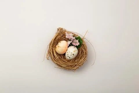 Easter eggs lying in the nest Stock Photos