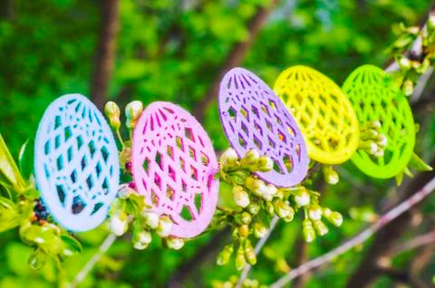 Easter eggs made of colored felt with flowering branches of fruit tree. Stock Photos