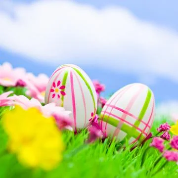 Easter eggs on meadow with blue sky Stock Photos