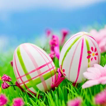 Easter eggs on meadow Stock Photos