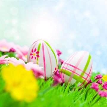 Easter eggs on meadow Stock Photos