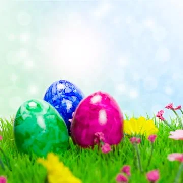 Easter eggs on meadow Stock Photos