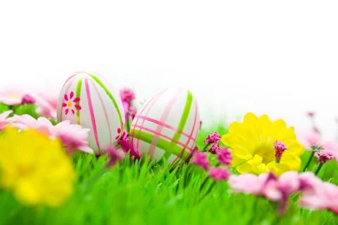 Easter eggs on meadow Stock Photos