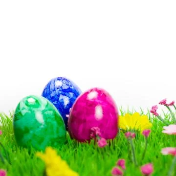 Easter eggs on meadow Stock Photos