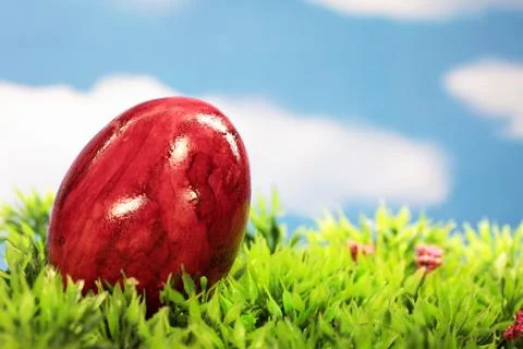 Easter eggs on meadow Stock Photos