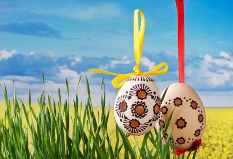 Easter eggs on the meadow in the springtime. Stock Photos