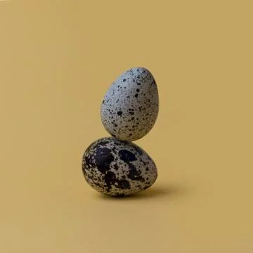 Easter eggs minimal concept. egg background concept Stock Photos