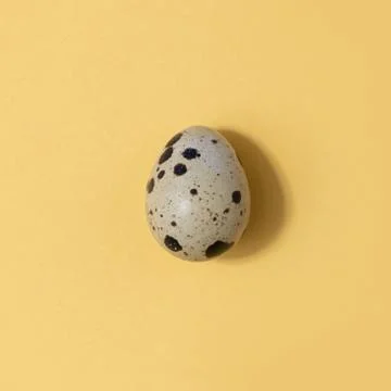 Easter eggs minimal concept. egg background concept Stock Photos