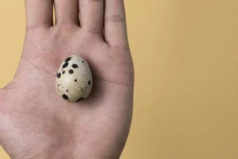 Easter eggs minimal concept. egg background concept Stock Photos