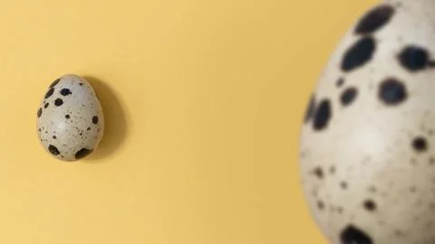 Easter eggs minimal concept. egg background concept Stock Photos