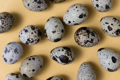Easter eggs minimal concept. egg background concept Stock Photos