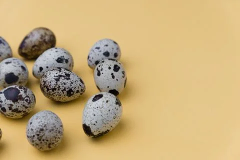 Easter eggs minimal concept. egg background concept Stock Photos