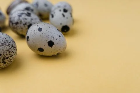 Easter eggs minimal concept. egg background concept Foto stock