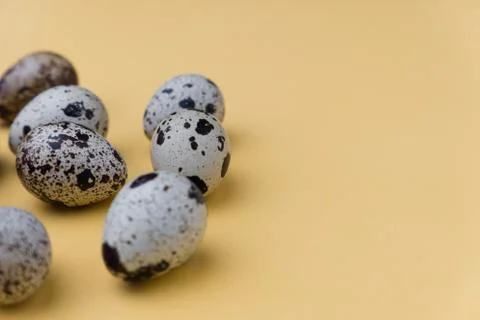 Easter eggs minimal concept. egg background concept Stock Photos