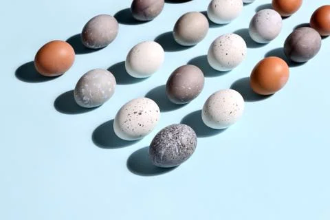 Easter eggs minimal concept Stock Photos
